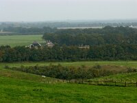 NL, Drenthe, Midden-Drenthe, Drijber 3, Saxifraga-Hans Dekker
