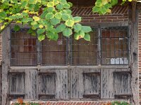 NL, Drenthe, Midden-Drenthe, Orvelte 15, Saxifraga-Hans Dekker
