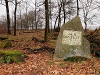 NL, Drenthe, Midden-Drenthe, Oud-Orvelte 2, Saxifraga-Hans Dekker