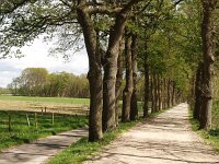 NL, Drenthe, Midden-Drenthe, Siberie 10, Saxifraga-Hans Dekker