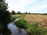 NL, Drenthe, Tynaarlo, Tynaarlose Diep 17,