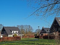 NL, Drenthe, Tynaarlo, Zeijen 1, Saxifraga-Hans Dekker