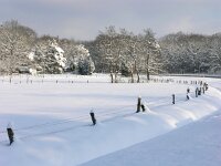 NL, Drenthe, Westerveld 8, Saxifraga-Hans Dekker