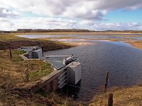 NL, Drenthe, Westerveld, Kloosterveld 6, Saxifraga-Hans Dekker