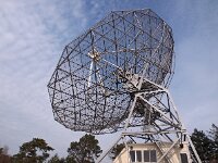 NL, Drenthe, Westerveld, Lhee 7, Saxifraga-Hans Dekker