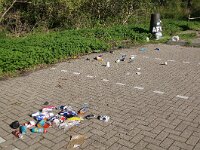 NL, Flevoland, Almere 11, Saxifraga-Foto Fitis-Sytske Dijksen