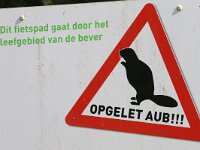 NL, Flevoland, Almere 11, Saxifraga-Foto Fitis-Sytske Dijksen