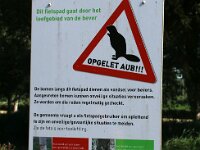 NL, Flevoland, Almere 12, Saxifraga-Foto Fitis-Sytske Dijksen