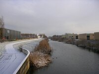 NL, Flevoland, Almere 9, Saxifraga-Henk Sierdsema