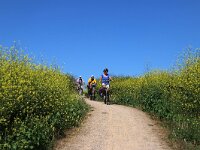 NL, Flevoland, Almere, Oostvaardersplassen 12, Saxifraga-Foto Fitis-Sytske Dijksen