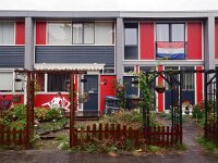 NL, Flevoland, Lelystad 8, Saxifraga-Hans Dekker