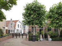 NL, Flevoland, Urk 3, Saxifraga-Tom Heijnen