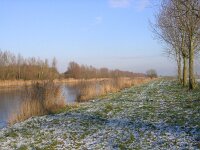 NL, Flevoland, Zeewolde 16, Saxifraga-Henk Sierdsema