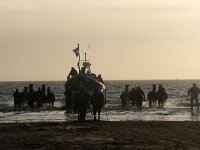 NL, Friesland, Ameland 7, Saxifraga-Sytske Dijksen