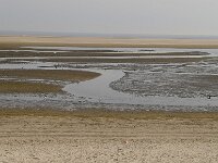 NL, Friesland, Ameland, Ballum 1, Saxifraga-Foto Fitis-Sytske Dijksen