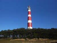 NL, Friesland, Ameland, light house 1, Saxifraga-Sytske Dijksen