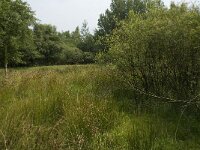 NL, Friesland, De Fryske Marren, Wyldemerk 6, Saxifraga-Willem van Kruijsbergen