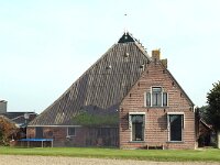 NL, Friesland, Noardeast-Fryslan, Blija 2, Saxifraga-Jan van der Straaten