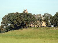 NL, Friesland, Noardeast-Fryslan, Hogebeintum 2, Saxifraga-Jan van der Straaten