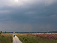 NL, Friesland, Ooststellingwerf, Fochteloerveen 11, Saxifraga-Hans Dekker