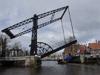 NL, Friesland, Sudwest-Fryslan, Sneek 1, Saxifraga-Foto Fitis-Sytske Dijksen