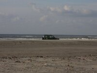 NL, Friesland, Terschelling, Boschplaat 45, Saxifraga-Hans Boll