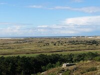 NL, Friesland, Terschelling, Groene Strand 17, Saxifraga-Sytske Dijksen