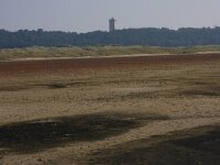 NL, Friesland, Terschelling, Noordsvaarder 38, Saxifraga-Hans Boll