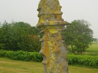 NL, Friesland, Terschelling, Striep 1, Saxifraga-Foto Fitis-Sytske Dijksen