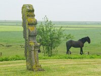 NL, Friesland, Terschelling, Striep 2, Saxifraga-Foto Fitis-Sytske Dijksen
