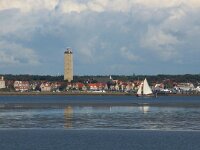 NL, Friesland, Terschelling, Terschelling-West 22, Saxifraga-Sytske Dijksen