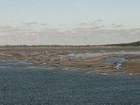 NL, Friesland, Terschelling, Terschellinger wad 10, Saxifraga-Hans Boll