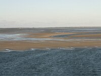 NL, Friesland, Terschelling, Terschellinger wad 7, Saxifraga-Hans Boll