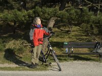 NL, Friesland, Terschelling, West-Terschelling 14, Saxifraga-Jan van der Straaten