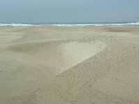 NL, Friesland, Terschelling, West-Terschelling 22, Saxifraga-Foto Fitis-Sytske Dijksen