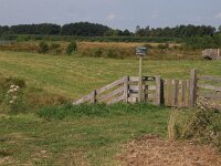 NL, Friesland, Tietjerksteradeel, Alde Feanen 5, Saxifraga-Hans Dekker