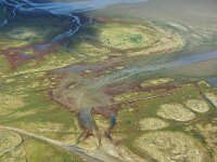 NL, Friesland, Vlieland, Koonspolder 29, Saxifraga-Foto Fitis-Sytske Dijksen