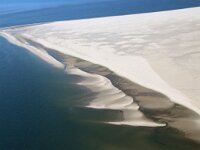 NL, Friesland, Vlieland, Vliehors 97, Saxifraga-Foto Fitis-Sytske Dijksen