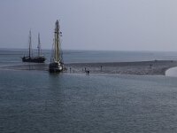 NL, Friesland, Vlieland, Wad 1, Saxifraga-Hans Boll