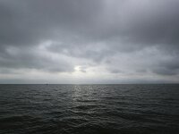 NL, Friesland, Vlieland, Waddenzee 5, Saxifraga-Bart Vastenhouw