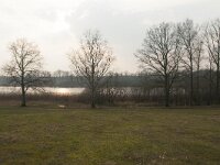 NL, Gelderland, Apeldoorn, Uddelermeer 1, Saxifraga-Jan Nijendijk
