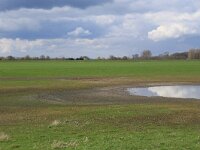 NL, Gelderland, Brummen, Cortenoever 61, Saxifraga-Hans Boll