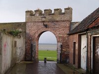 NL, Gelderland, Harderwijk 2, Saxifraga-Hans Dekker