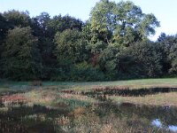 NL, Gelderland, Heumen, Overasseltsche en Hatertsche vennen 271, Saxifraga-Hans Boll