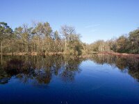 NL, Gelderland, Lochem, Gorsselse Heide 1, Saxifraga-Bart Vastenhouw
