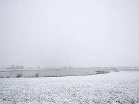 NL, Gelderland, Lochem, IJsel 1, Saxifraga-Bart Vastenhouw