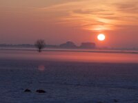 NL, Gelderland, Nijkerk, Arkemheen 23, Saxifraga-Jan Nijendijk