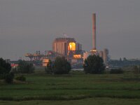 NL, Gelderland, Nijmegen 2, Saxifraga-Harry van Oosterhout