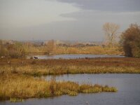NL, Gelderland, Nijmegen, Ooypolder 1, Foto Fitis-Sytske Dijksen
