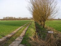 NL, Gelderland, Rheden, Havikerwaard 11, Saxifraga-Henk Sierdsema